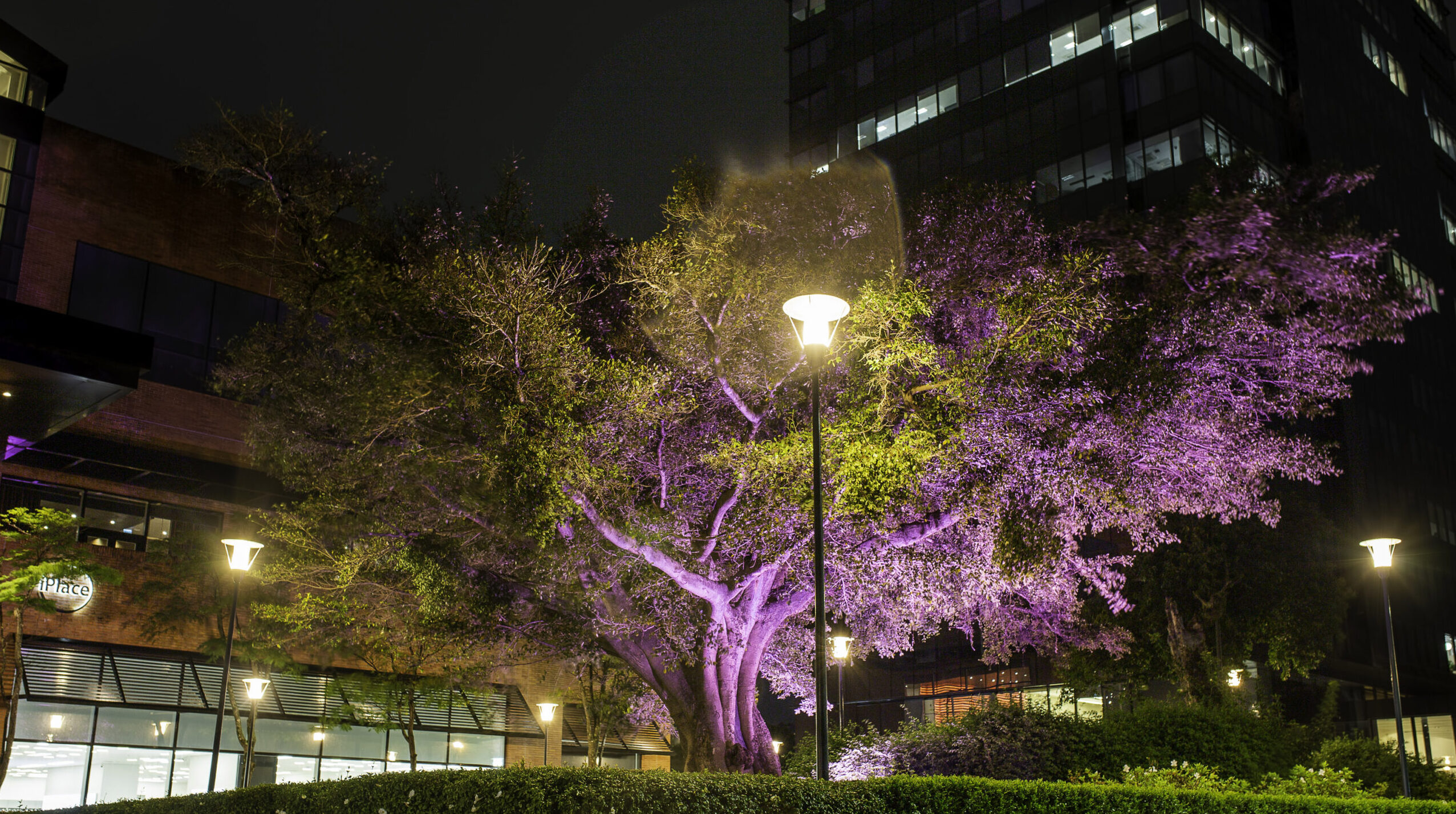 Iguatemi promove ações especiais no Outubro Rosa