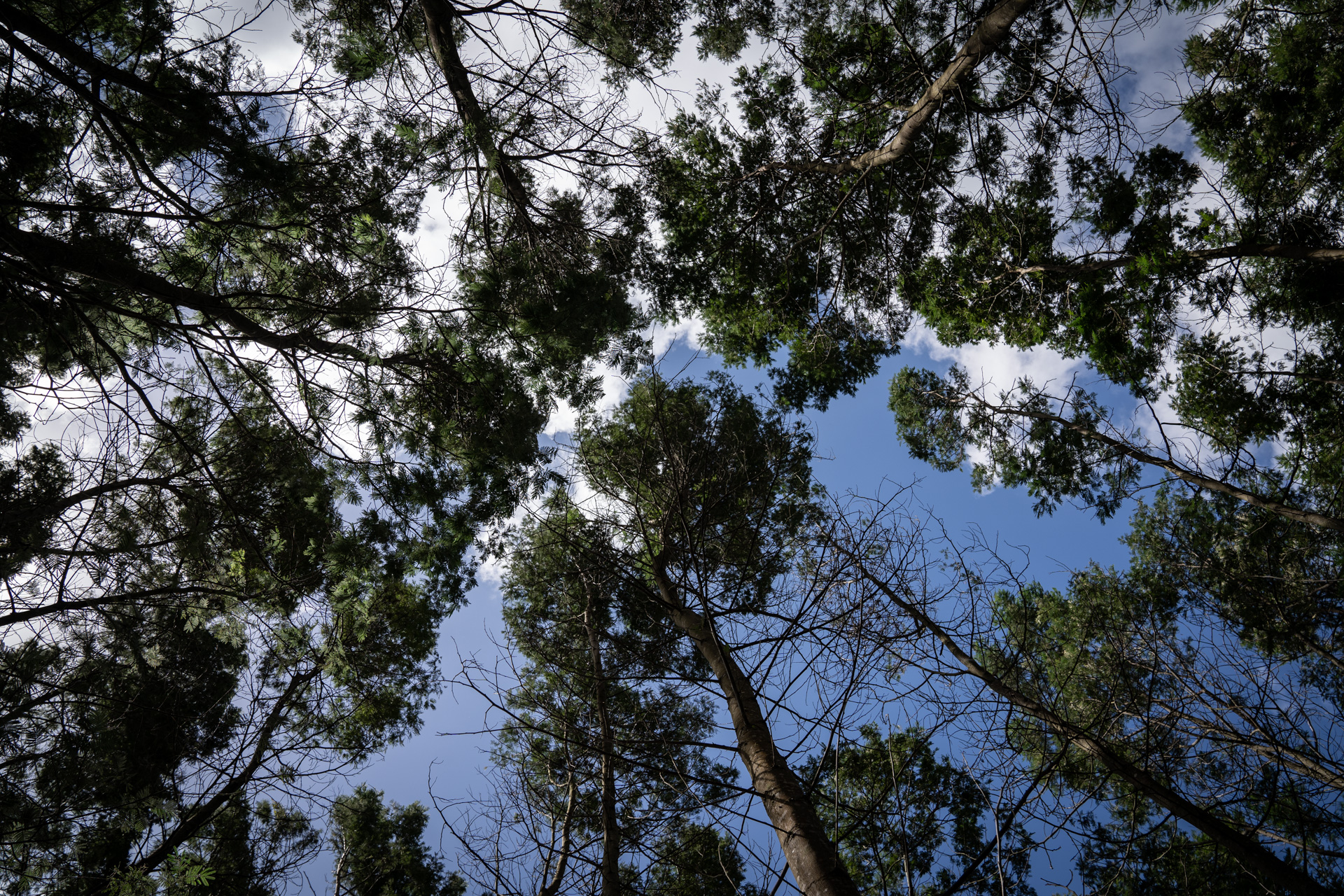 Empresa gaúcha, TANAC tem case apresentado COP27