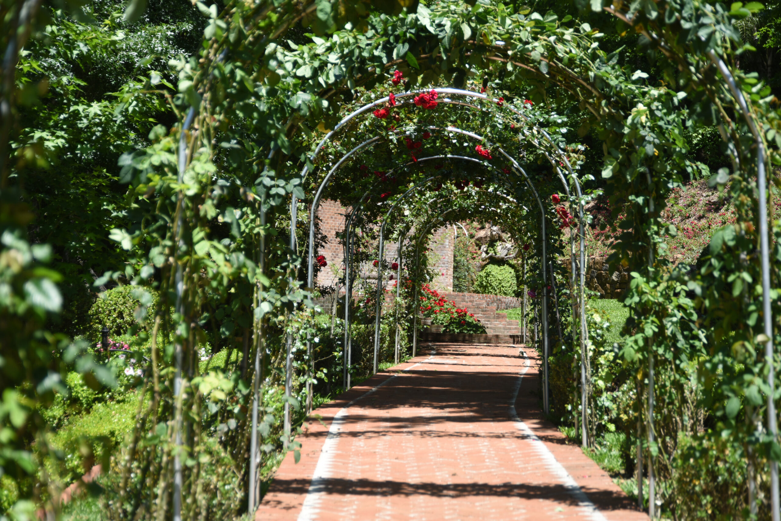 Garden Park inaugura em Gramado