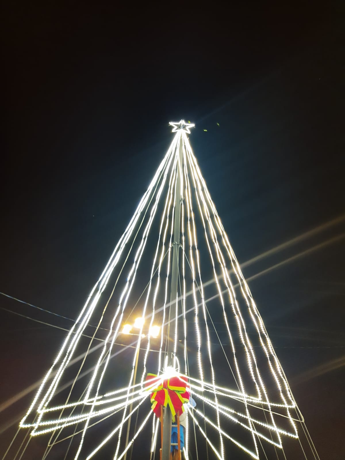 Árvore de Natal com 15 metros ilumina o alto do Morro da Cruz em Porto  Alegre | Jornal da Capital