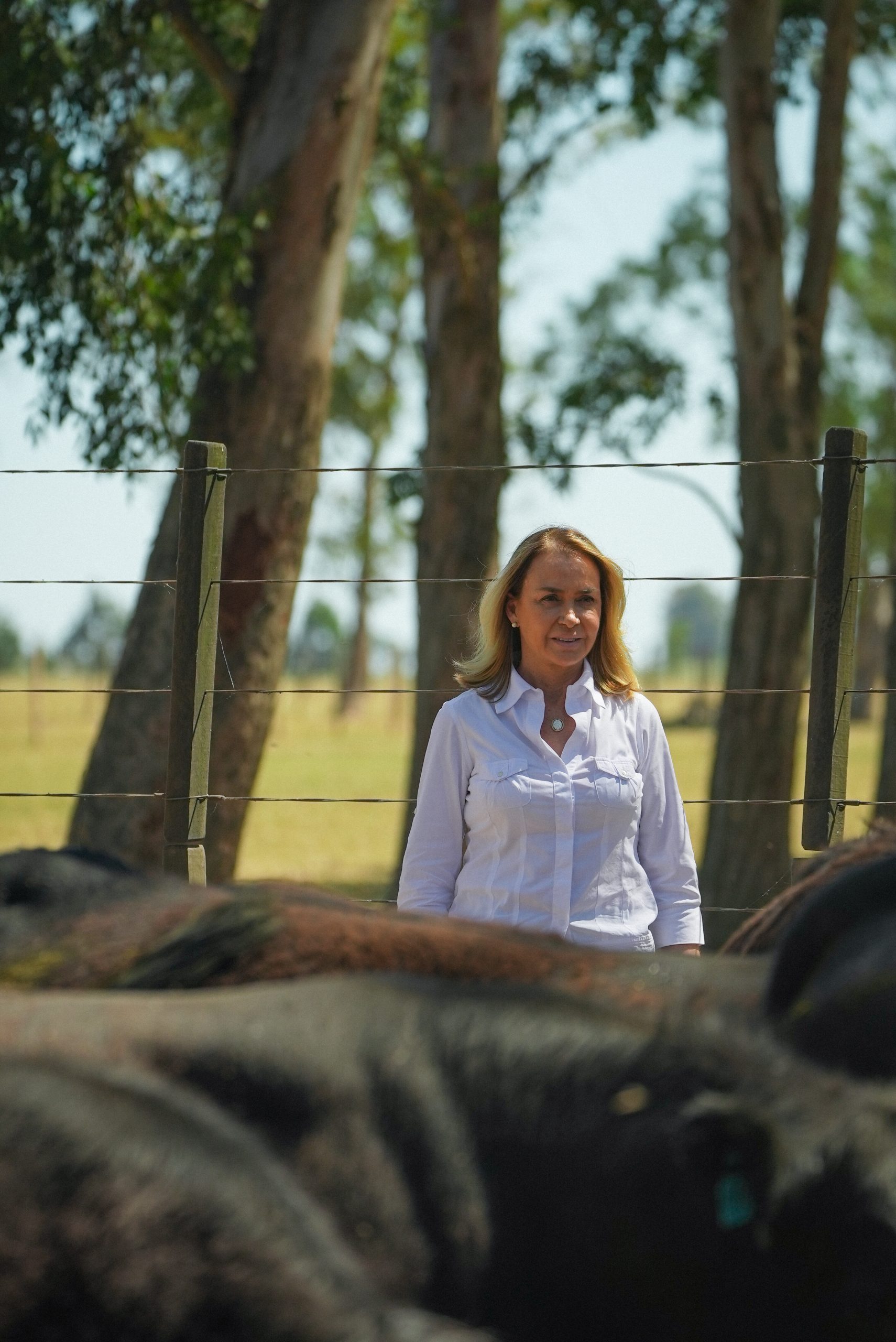 Mariana Tellechea assume Angus e debate ações de fomento para 2023