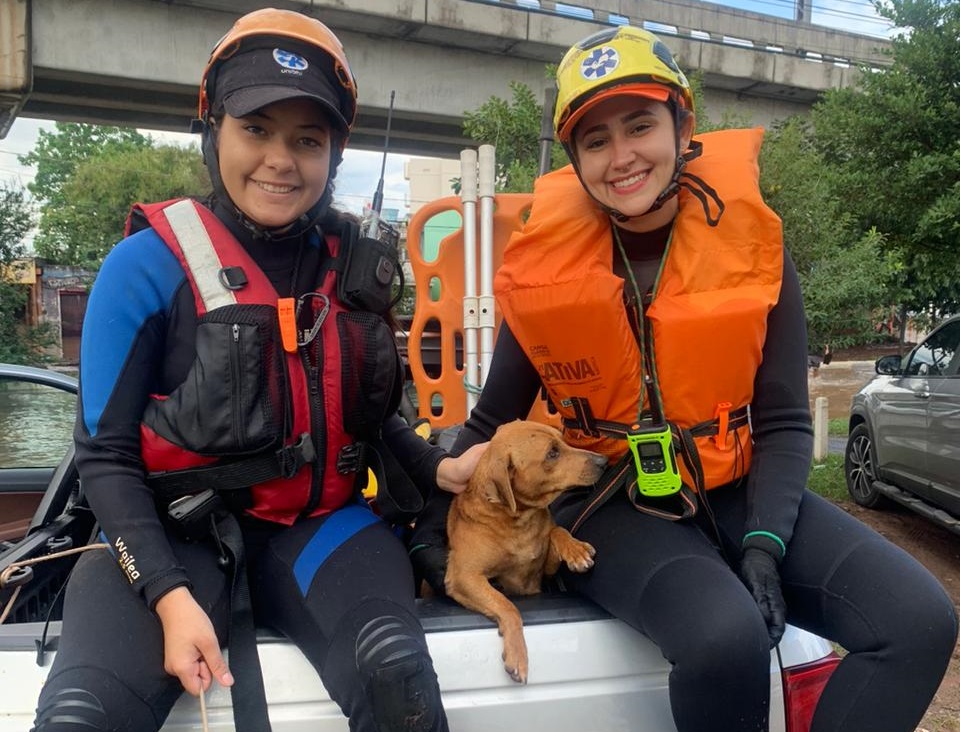 Grupo de Resgate Animal do UniBH viaja ao Rio Grande do Sul para auxílio às vítimas das enchentes no estado