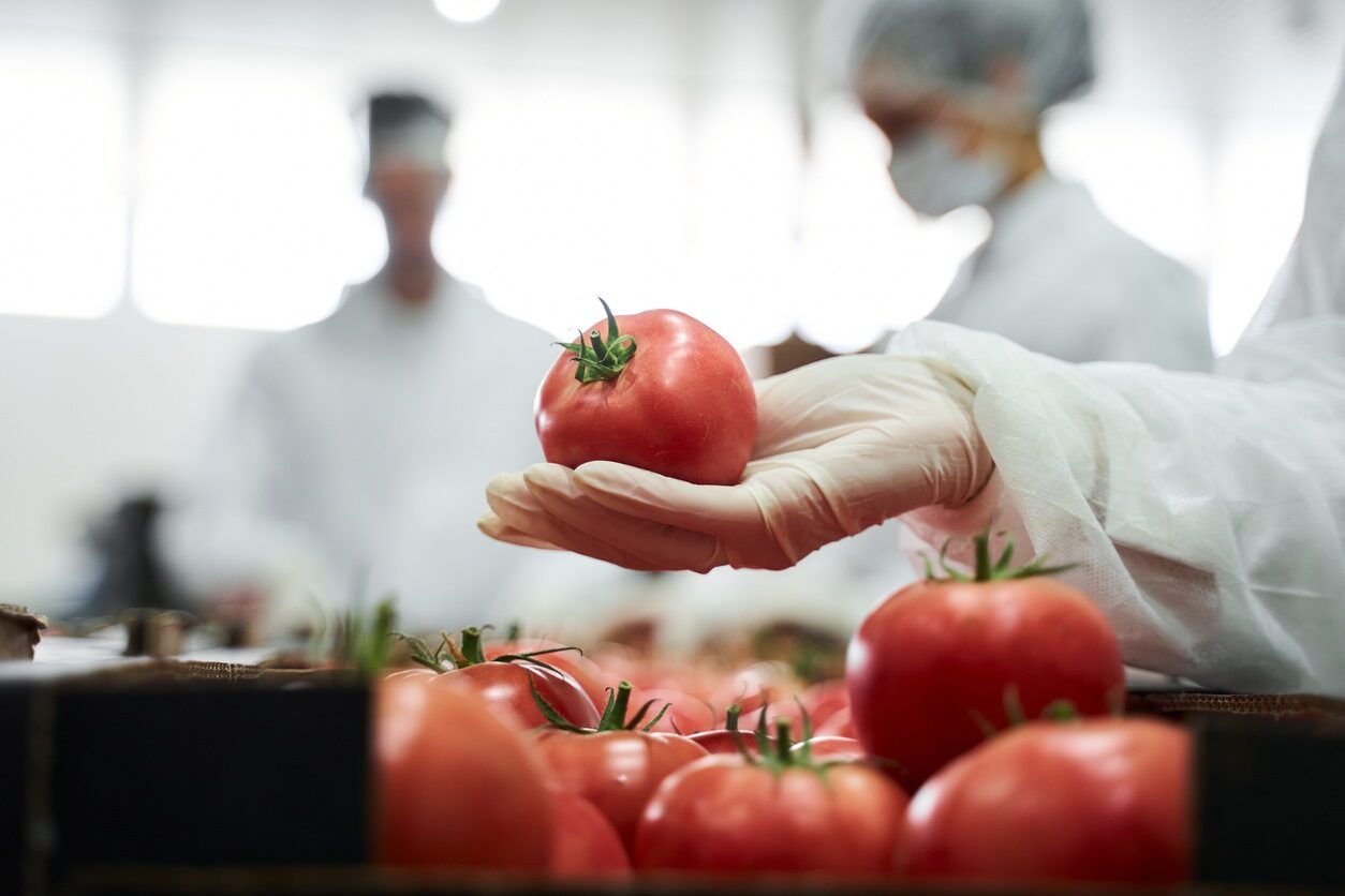 Sesc Comunidade promove oficinas de boas práticas de manipulação de alimentos em Porto Alegre