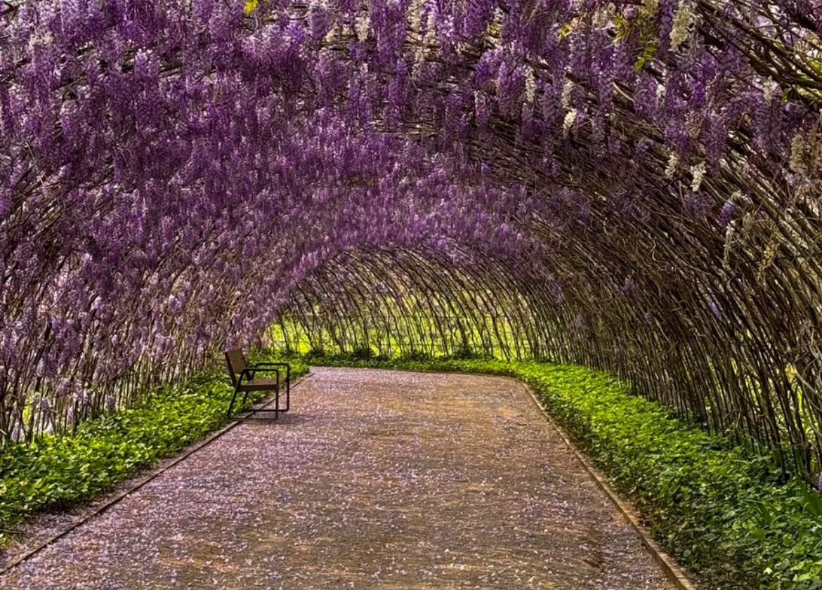 Marcos Livi reúne Hampel e Mátria Parque em Festim de Primavera 