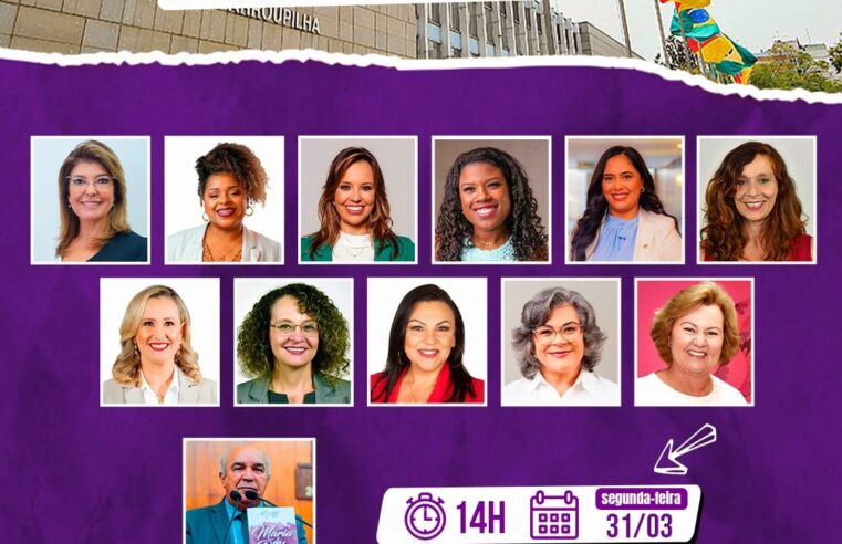 Deputado Airton Lima promove Audiência Pública sobre Feminicídio e Violência Doméstica