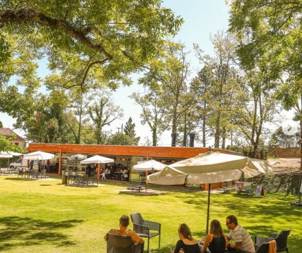 Vinícola Don Giovanni terá programação especial para o feriadão de Páscoa e Tiradentes em 2025