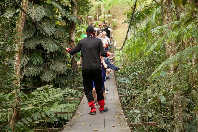 Aposta em atrativos especiais nas férias de julho de 2025 gera alta demanda em rede hoteleira