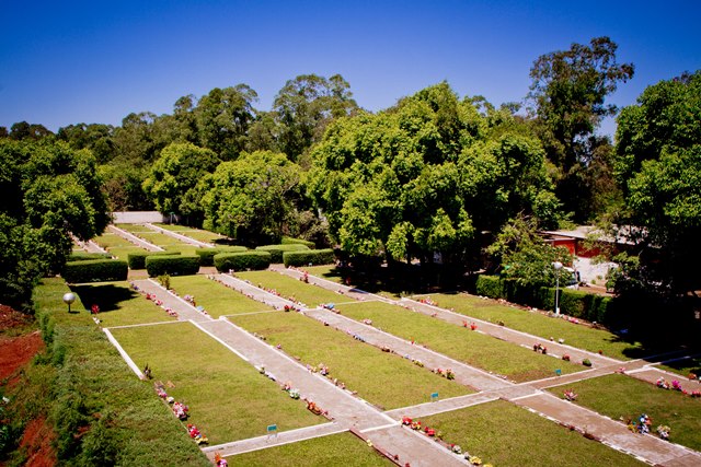Campanha de Dia dos Pais da CORTEL transforma fotos em abraços com ajuda da inteligência artificial