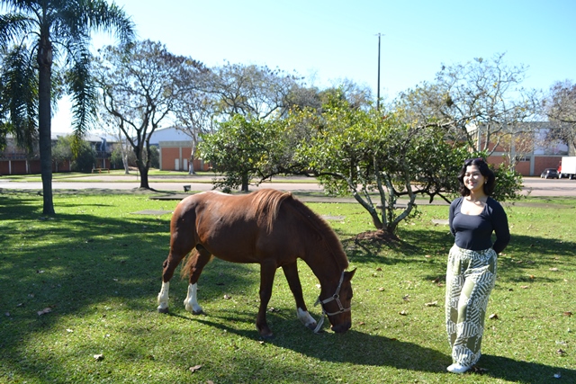 Caramelo vira símbolo em estudo internacional sobre catástrofe no RS