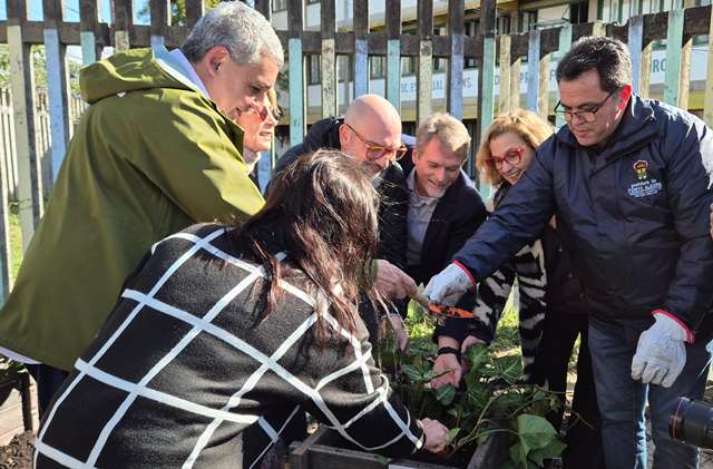 Porto Alegre ganha 760 bancos e floreiras sustentáveis para áreas de convívio público