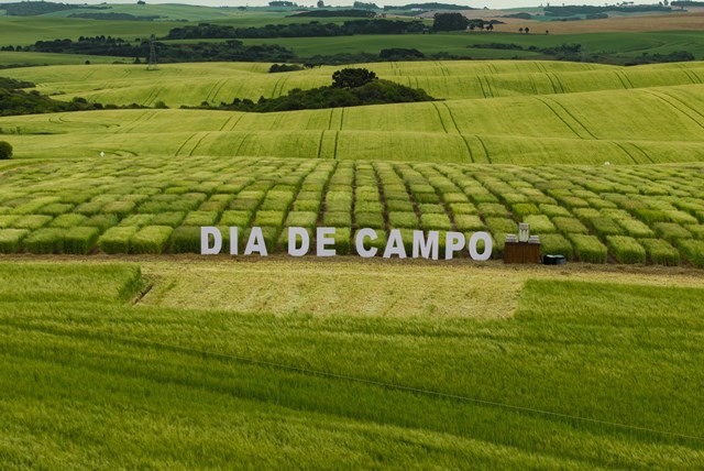 Ambev reconhece produtores rurais por boas práticas no cultivo de cevada no Rio Grande do Sul