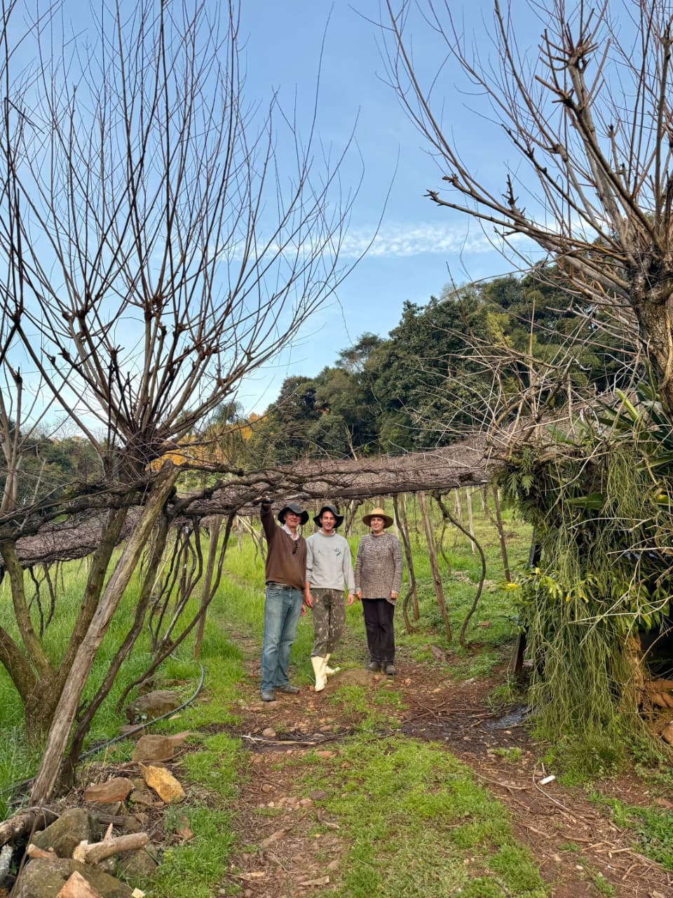 Bom Princípio Alimentos reforça atuação com práticas sustentáveis na cadeia produtiva