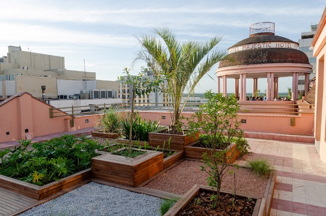 Casa de Cultura Mario Quintana inaugura espaço com jardim sensorial e vista panorâmica da cidade