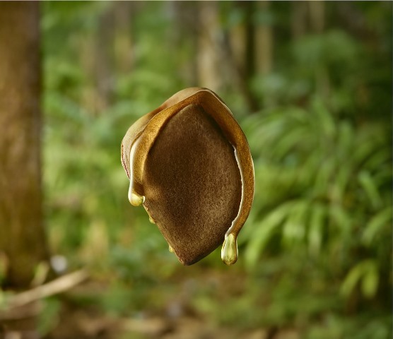 Natura Ekos Andiroba traz um tratamento cosmético anti-cansaço
