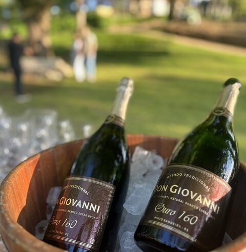 Vinícola Don Giovanni é premiada em 2025 na Itália e lança rótulo especial no final de ano