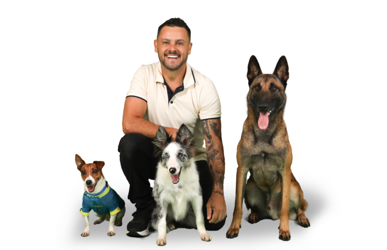 Espetáculo teatral “Meu Melhor Amigo” chega a Caxias do Sul com proposta cênica inovadora e narrativa emocionante 