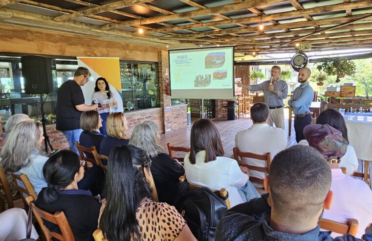 Academia Braskem é lançada para todo o Brasil