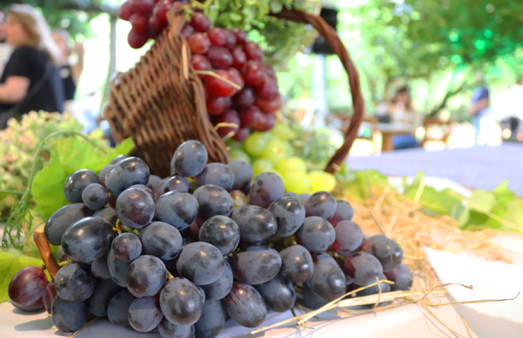 Programação do Veraneio da Vindima 2026 inicia nesta sexta em Garibaldi