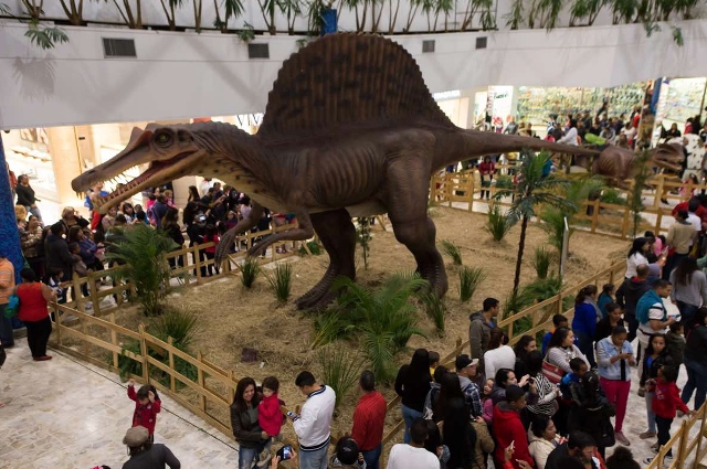 ParkShopping Canoas recebe exposição gratuita “Mundo Jurássico”