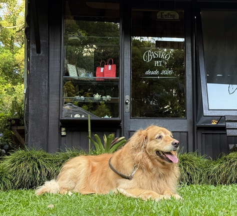 Pousada do Engenho se torna hospedagem pet friendly certificada