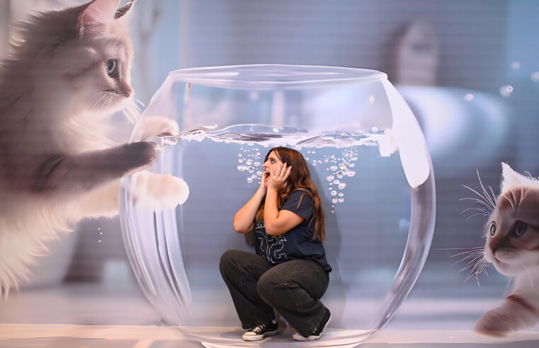 Última semana do Museu das Ilusões no BarraShoppingSul