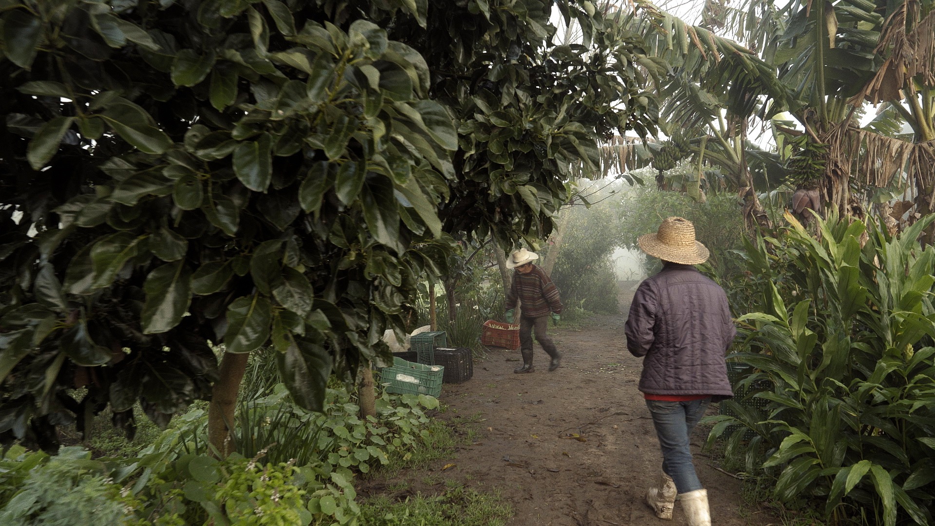 Maquiné e Morro Reuter recebem Mostra Adentro neste fim de semana
