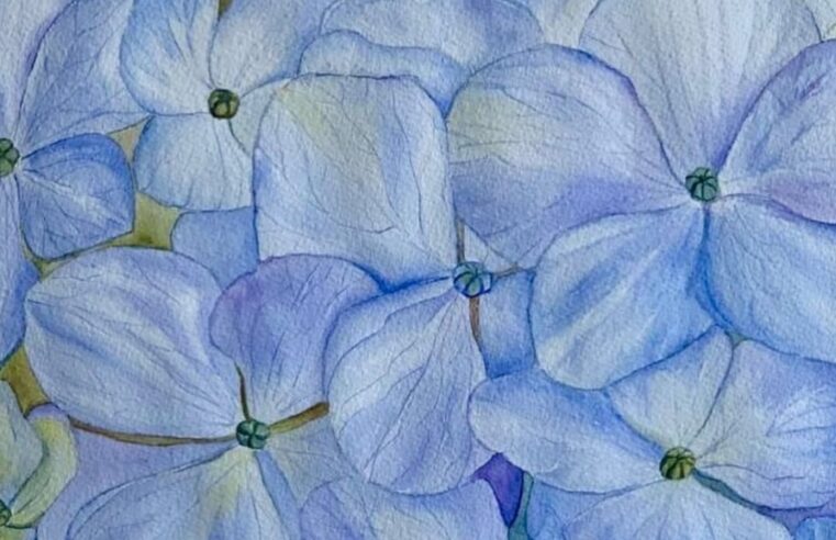 Oficina de aquarela botânica e de paisagem na Gravura Galeria de Arte