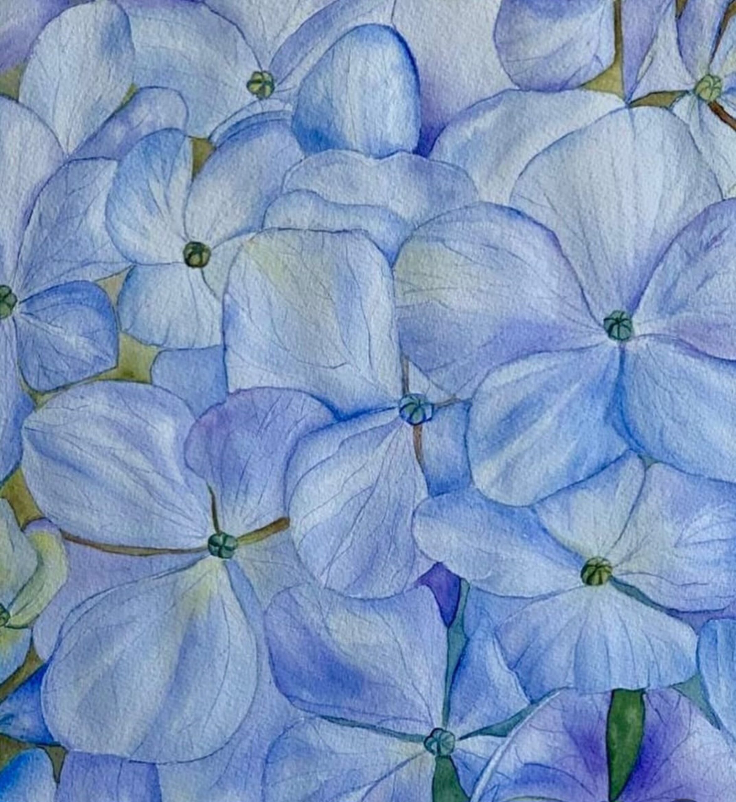 Oficina de aquarela botânica e de paisagem na Gravura Galeria de Arte