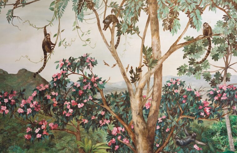 Dominique Jardy lança o livro-arte Mata Adentro – Natureza e Arte em Porto Alegre 