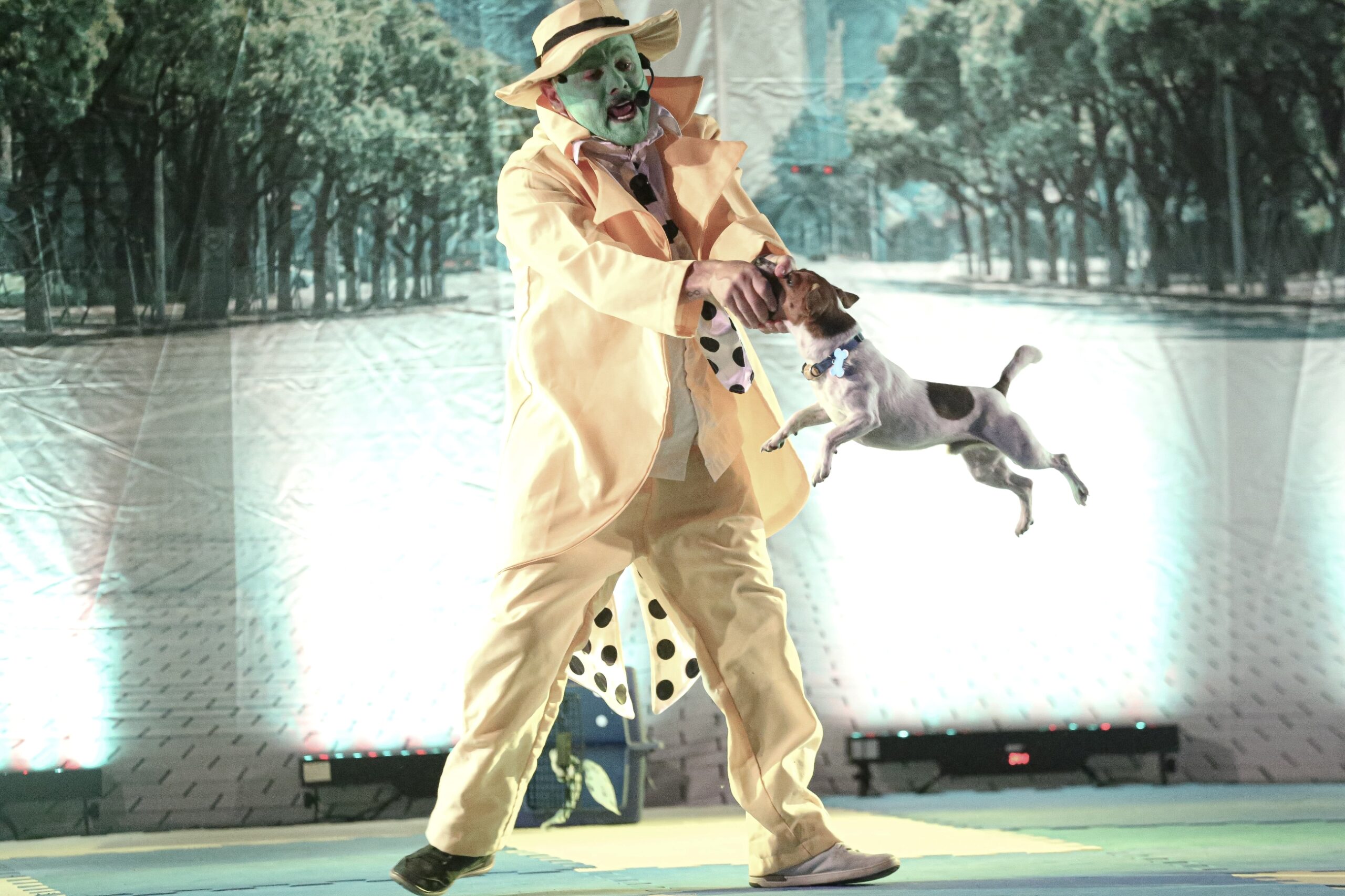 Espetáculo teatral “Meu Melhor Amigo” chega a Canoas com história sensível e cães em cena