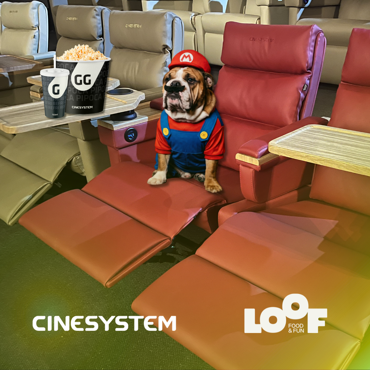 LOOF transforma Cine Pets em universo do Super Mario com sessão especial e concurso de fantasias