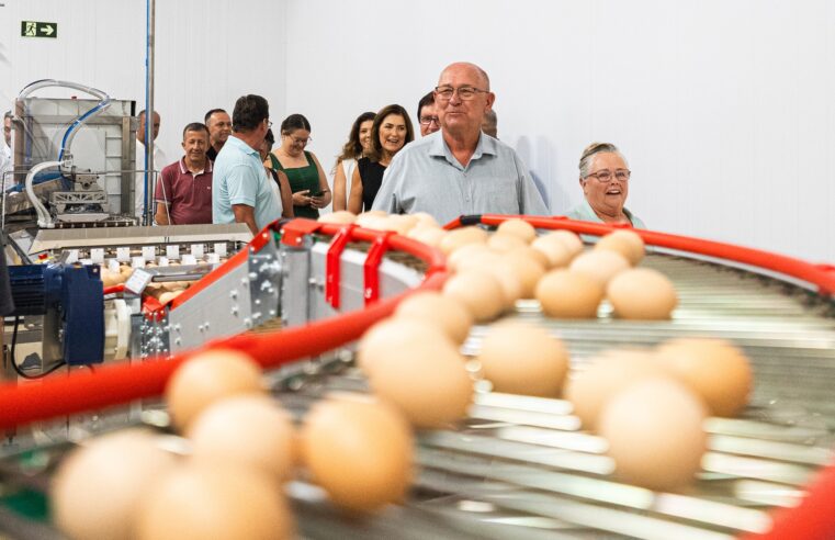 Da tradição à alta tecnologia: Granja Pinheiros inaugura incubatório de ponta no RS