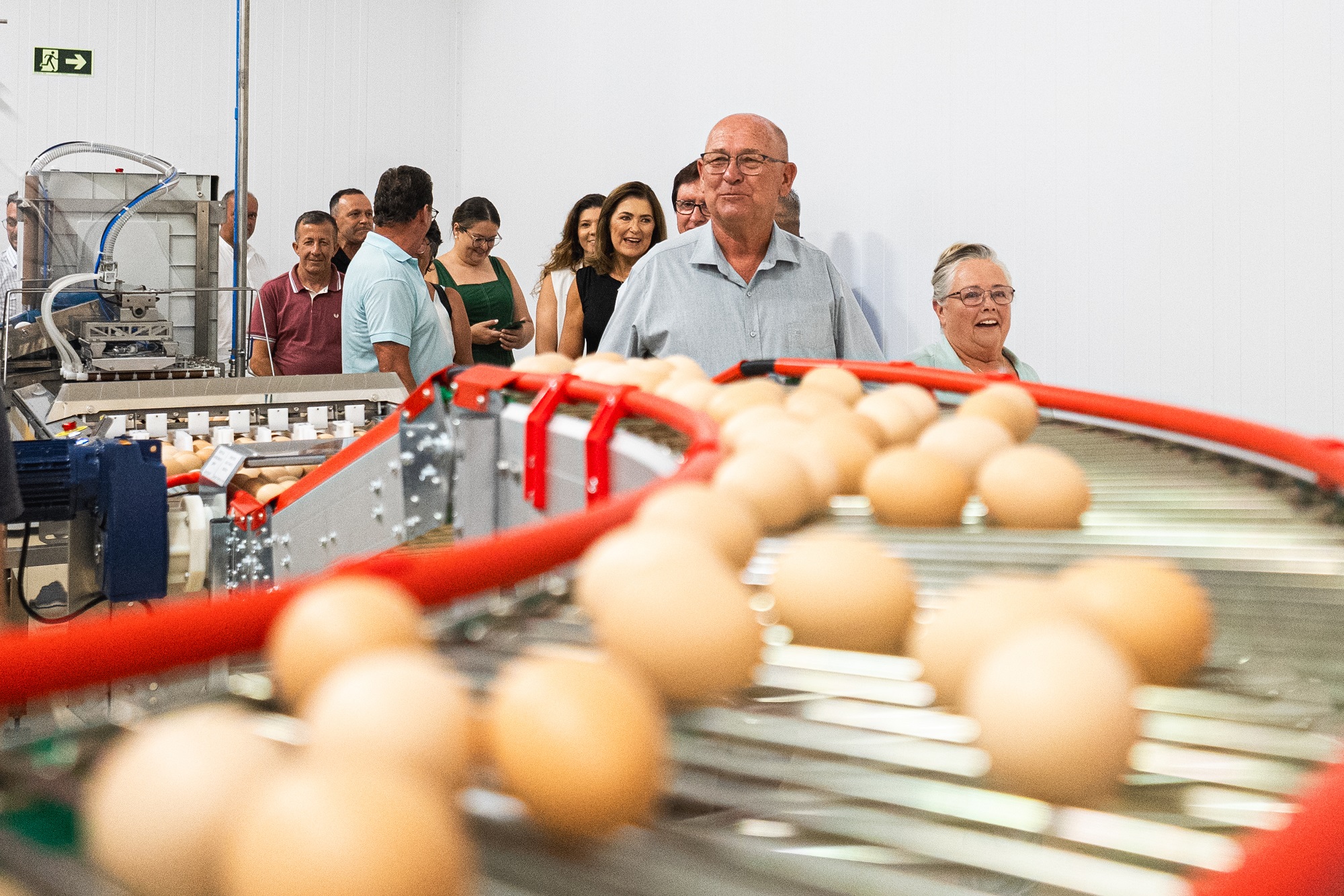 Da tradição à alta tecnologia: Granja Pinheiros inaugura incubatório de ponta no RS