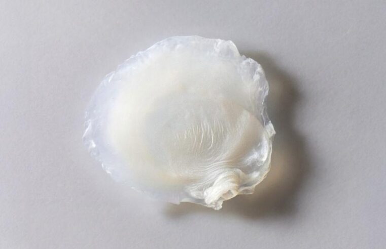 Avon desenvolve primeira pele bioimpressa em laboratório que reproduz efeitos da menopausa