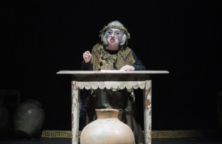 Multipalco Eva Sopher terá mais de 45 atrações com ingressos gratuitos ou a preços populares