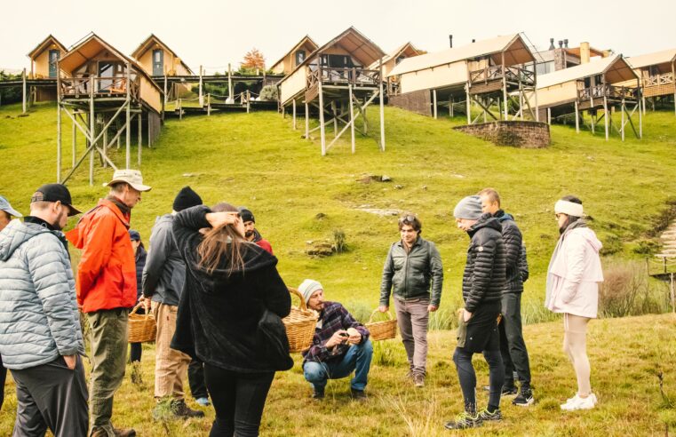 Busca por experiências raras faz temporada de cogumelos esgotar em hotel da serra gaúcha