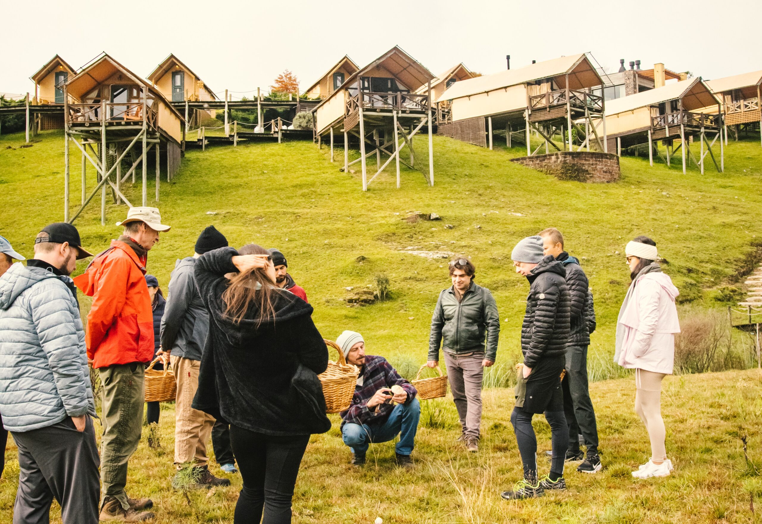 Busca por experiências raras faz temporada de cogumelos esgotar em hotel da serra gaúcha
