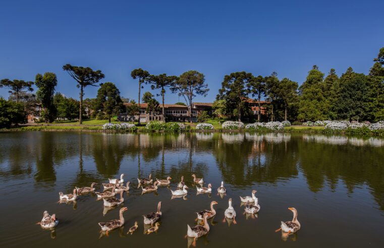 Arte, vinho e gastronomia se encontram em experiência no Grande Hotel Canela