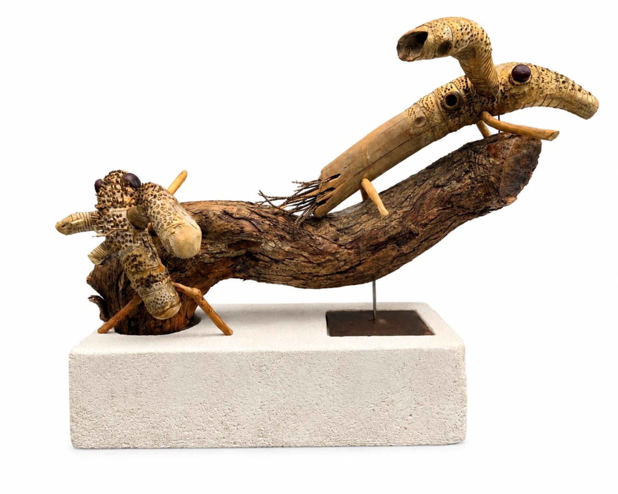 Exposição homenageia centenário de nascimento de José Lutzenberger