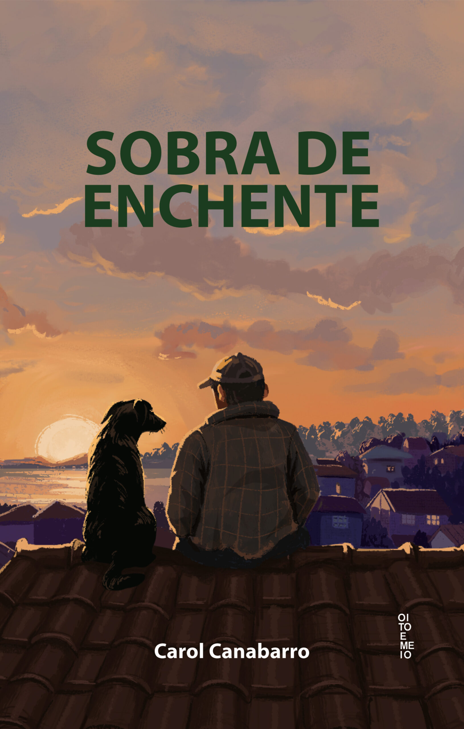 Sobra de Enchente, livro de Carol Canabarro